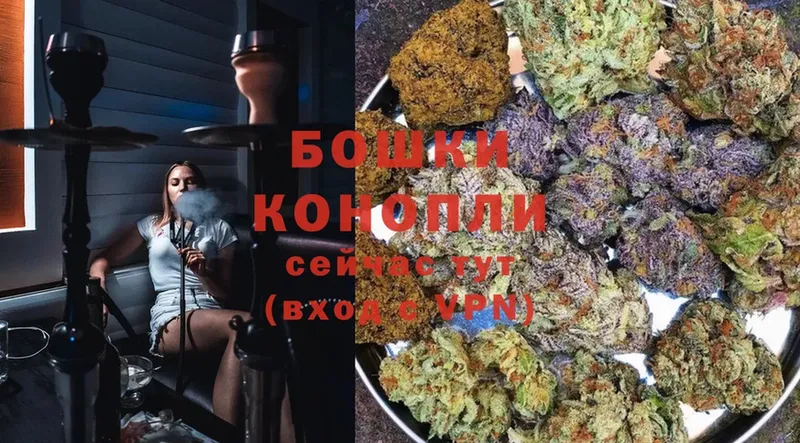 Бошки Шишки OG Kush  где купить наркотик  Гаджиево 